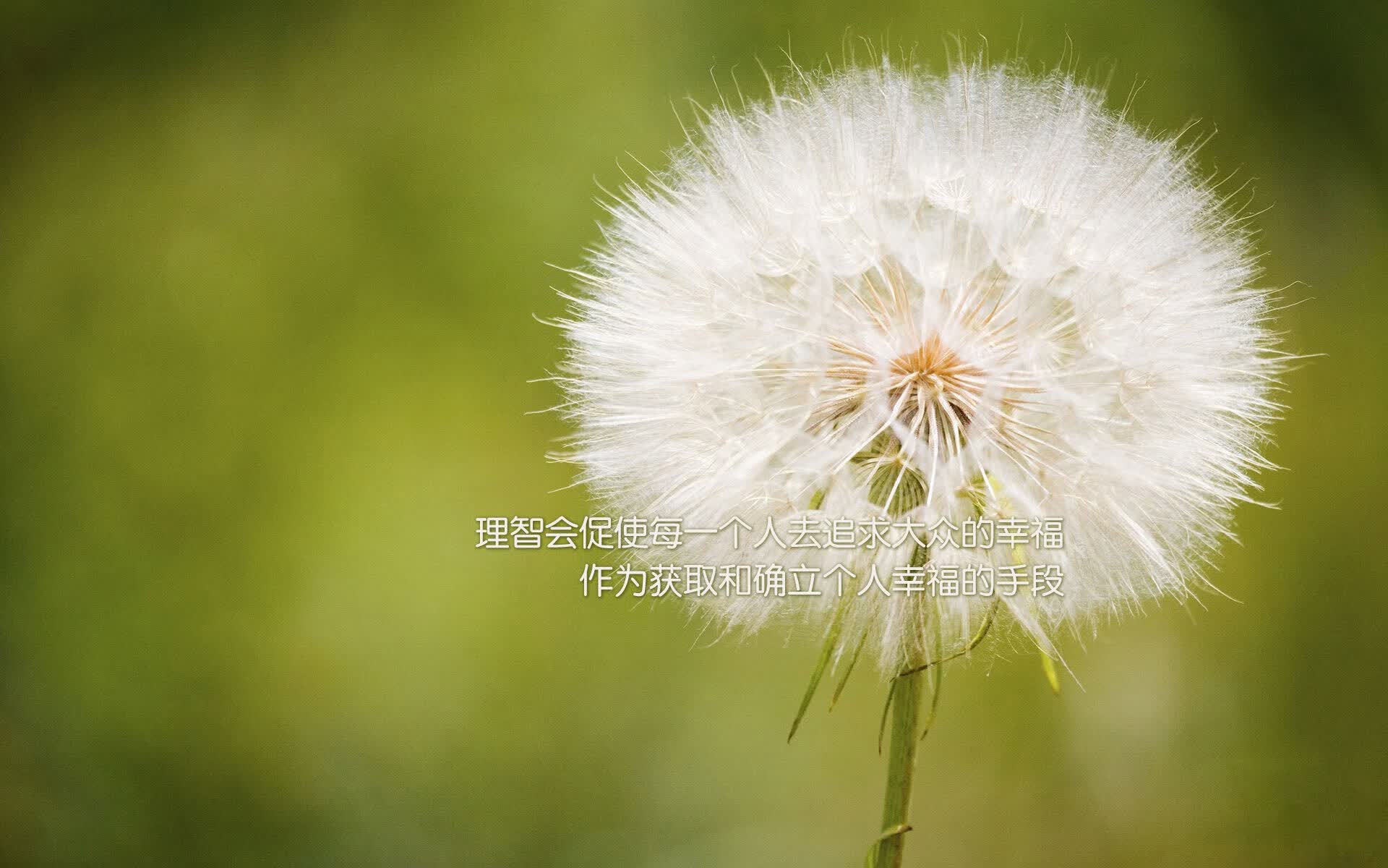 世界田径赛事智慧场馆建设:技术方案与案例,田径运动会管理系统